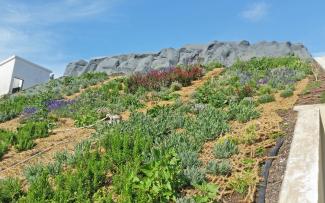 The carefully chosen plants, suitable for the climate, quickly grew into a wonderful, blossoming carpet. © ZinCo GmbH / Impermeabilizaciones Machado, S.L.U. Pitched green roof with nets made of coconut fibres